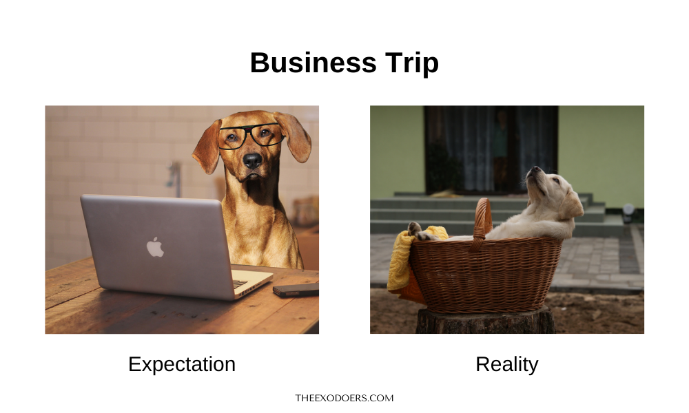 Business trip expectation vs reality