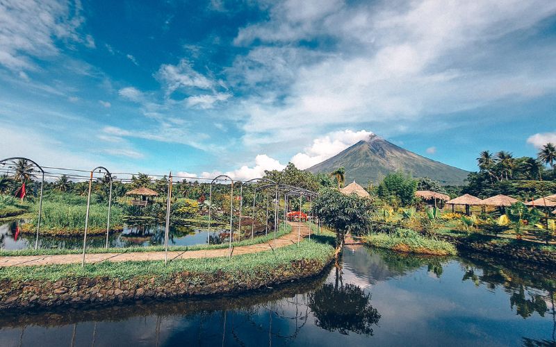Mayon Volcano at Aguas' Farm