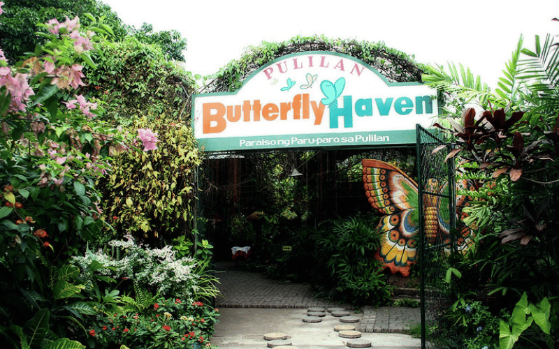 Pulilan Butterfly Haven