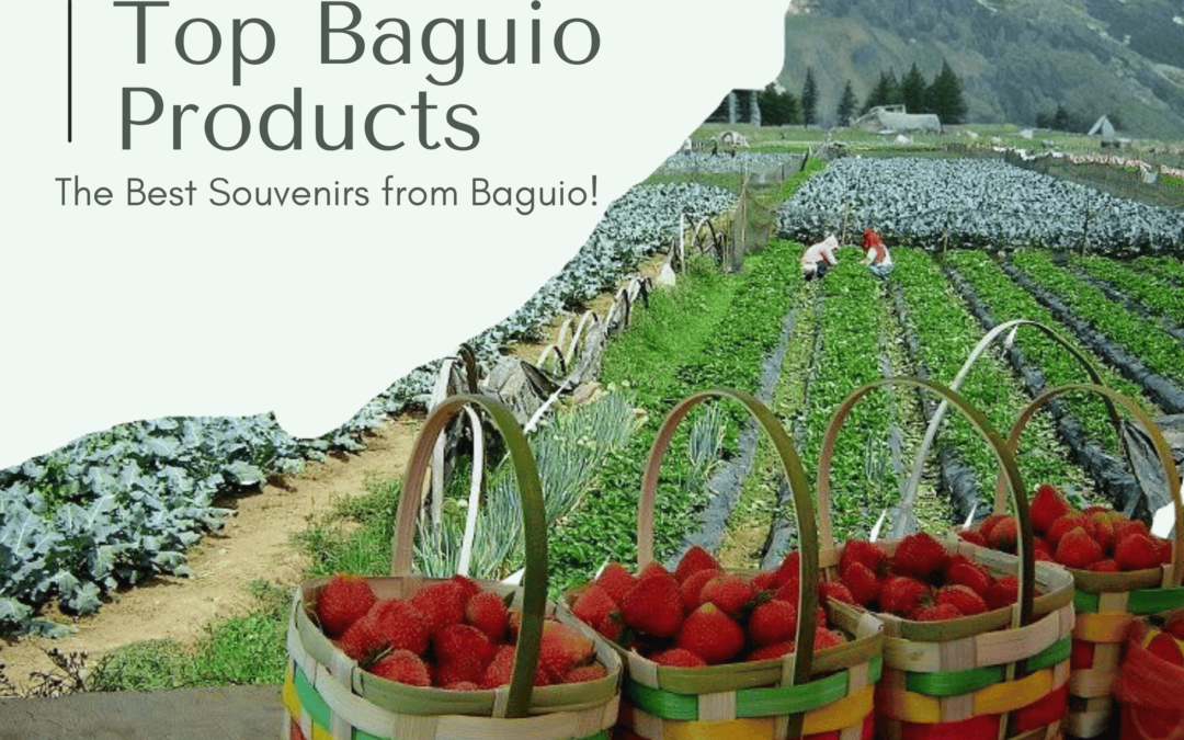 Top Baguio Products You Should Buy